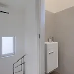 Lippa Peroj 1
