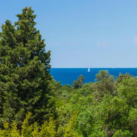 Lippa Peroj 1 풀라