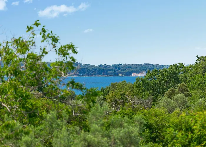 Lippa Peroj 1 풀라